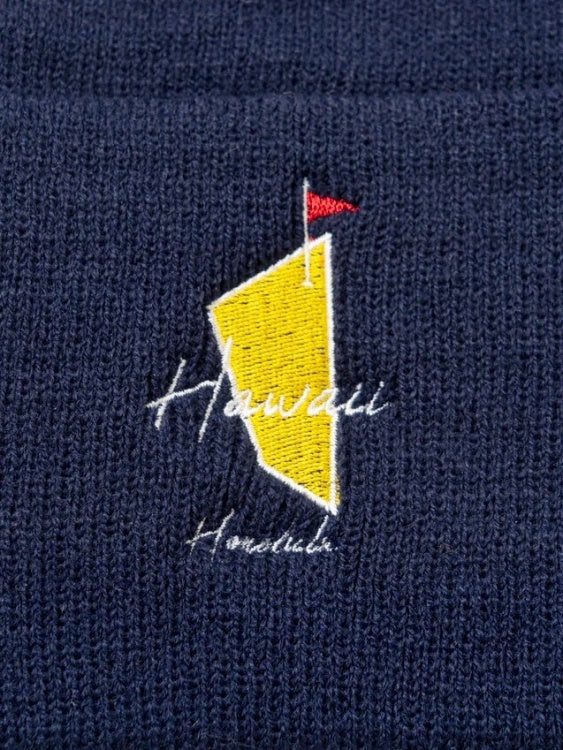 SVKA5026［サルベージパブリックコレパ］ニットビーニー（DH MASTERS） / NAVY