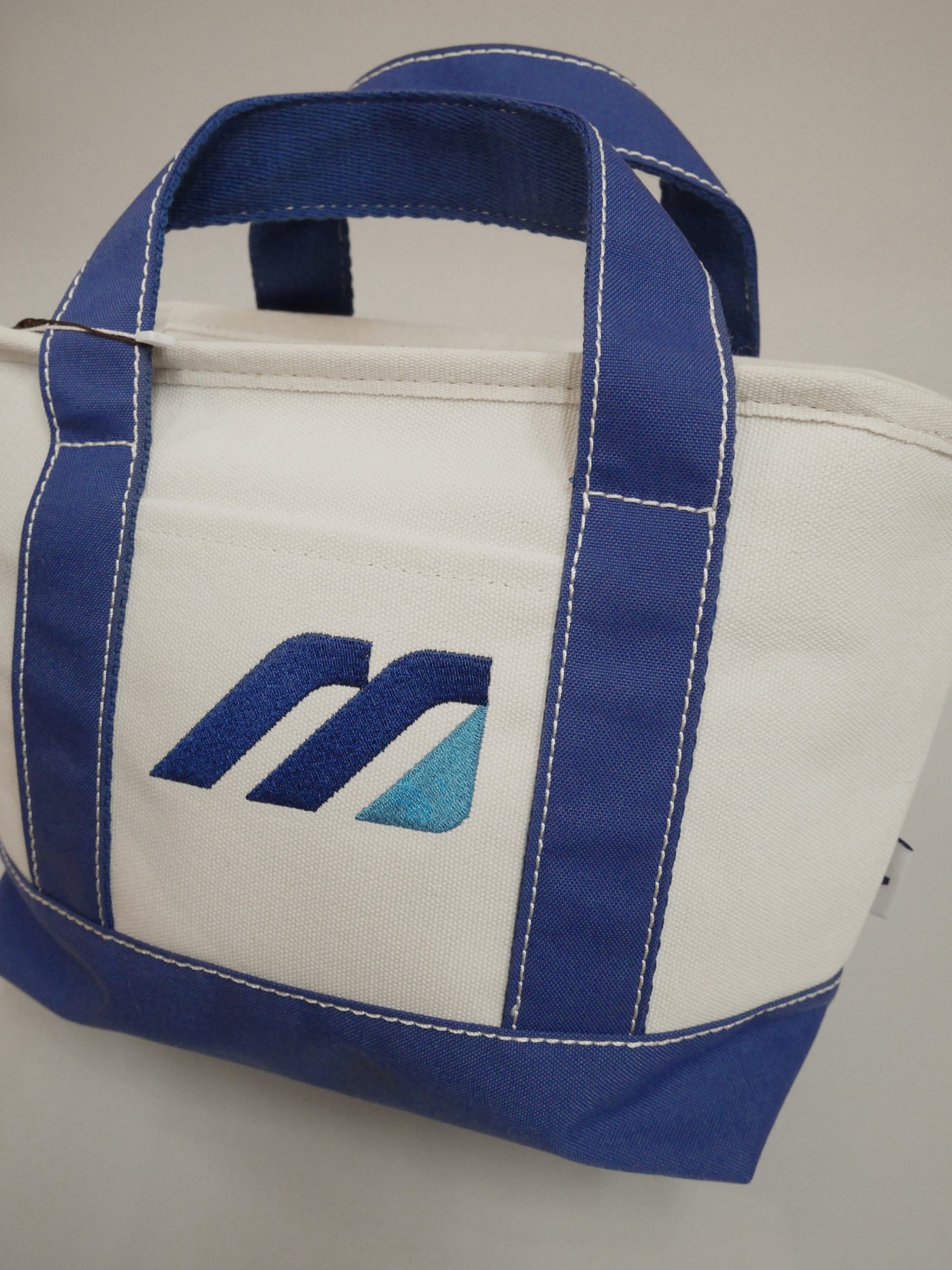MIZUNO M Logo Cart Bag / BLUE
