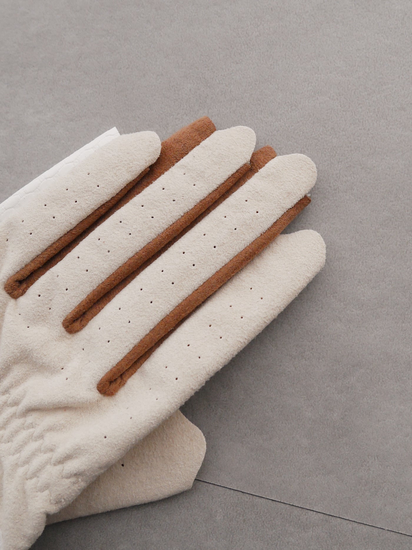 Vibrant Bicolor Suede Gloves[Pair] | WOMEN / IVORY