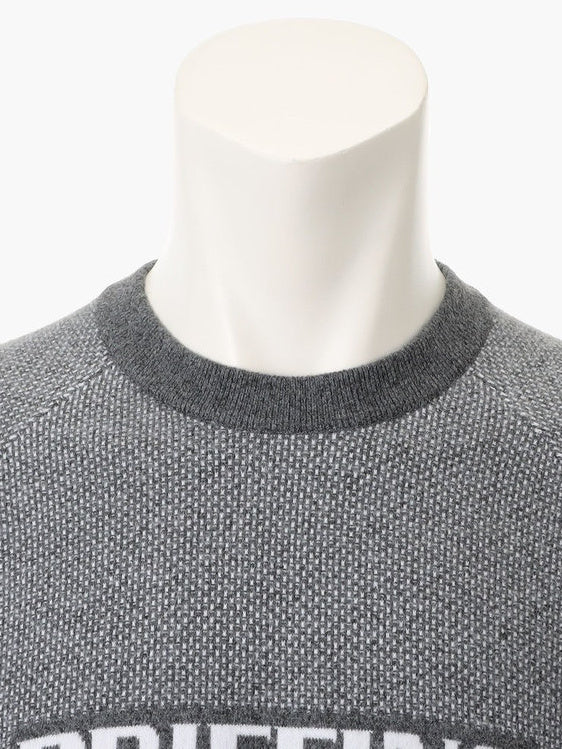 MEN'S BIRDS EYE LOGO CREWNECK KNIT / GREY – ADVANTAGE